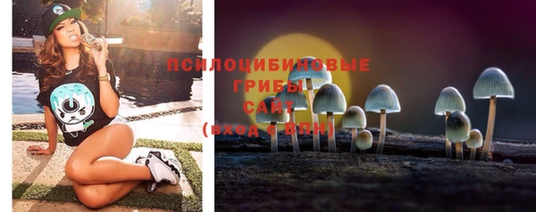 амф Бугульма