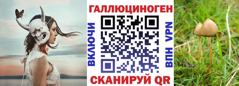 Галлюциногенные грибы GOLDEN TEACHER  Луховицы 